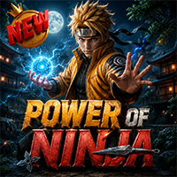 Power Of Ninja2